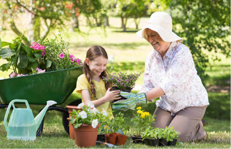 How Much is the State Pension?
