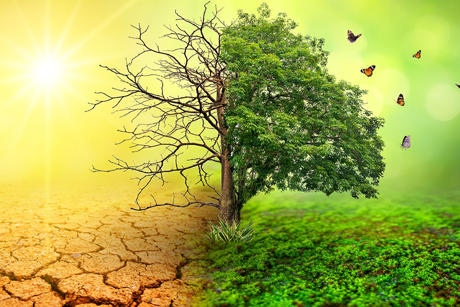Investing with impact